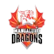 Mangaluru Dragons